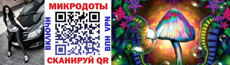 Галлюциногенные грибы Cubensis  это какой сайт  Камень-на-Оби 