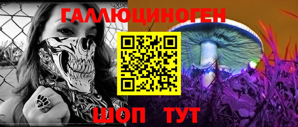 Галлюциногенные грибы Magic Shrooms  Вход с VPN  Камень-на-Оби 
