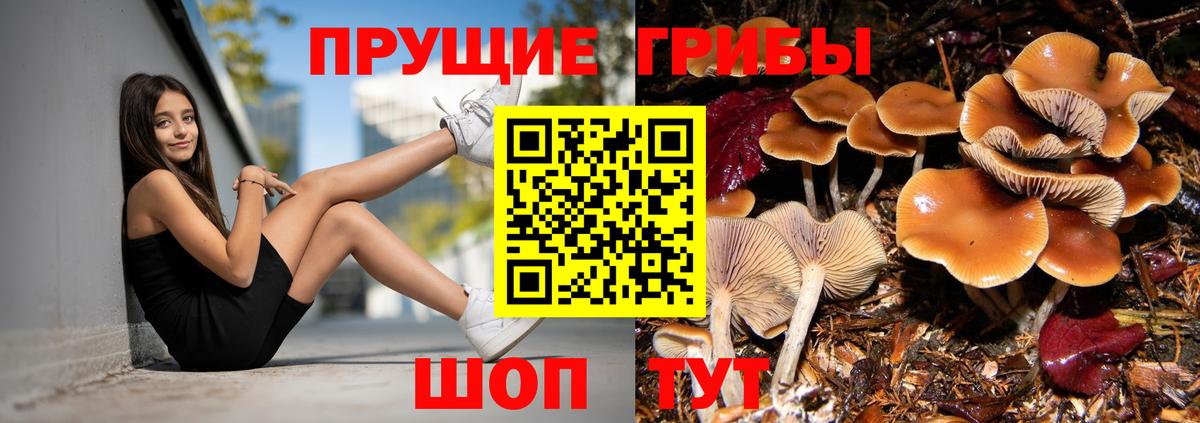 Галлюциногенные грибы GOLDEN TEACHER  Камень-на-Оби 