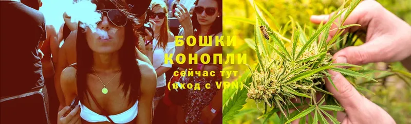 Бошки Шишки OG Kush  даркнет сайт  Камень-на-Оби 